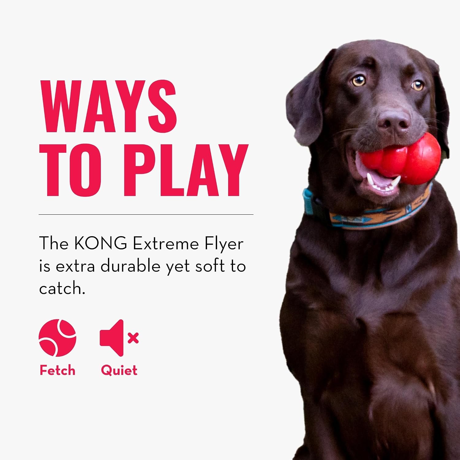 Durable rubber texture of KONG Extreme Flyer close up