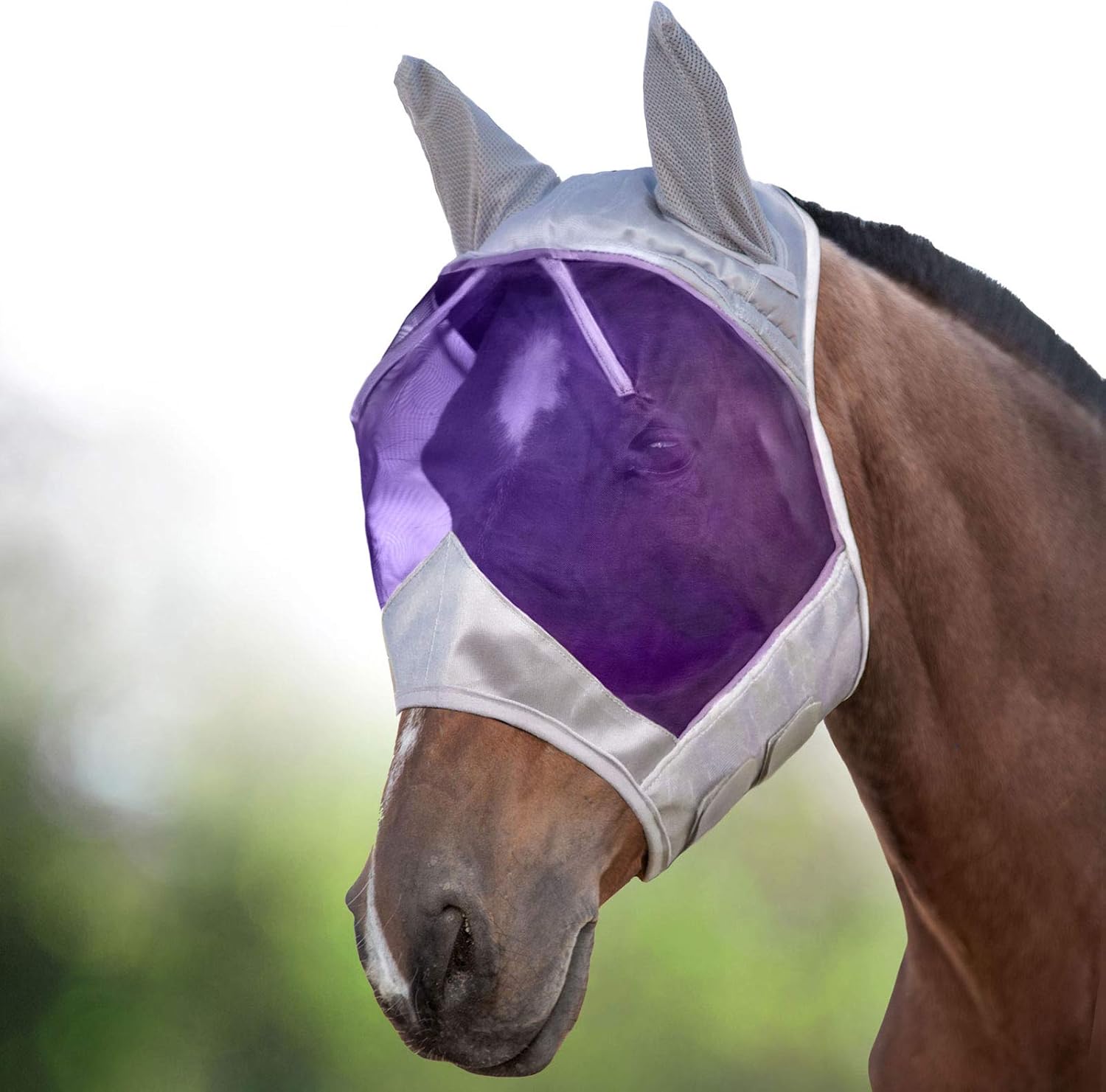 High quality mesh material detail of Harrison Howard fly mask
