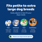 PetSafe dog harness quick snap buckles