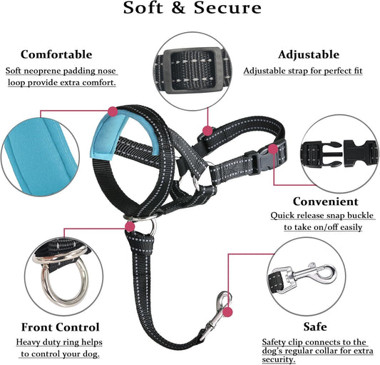 Barkless no pull head halter showing soft nose padding