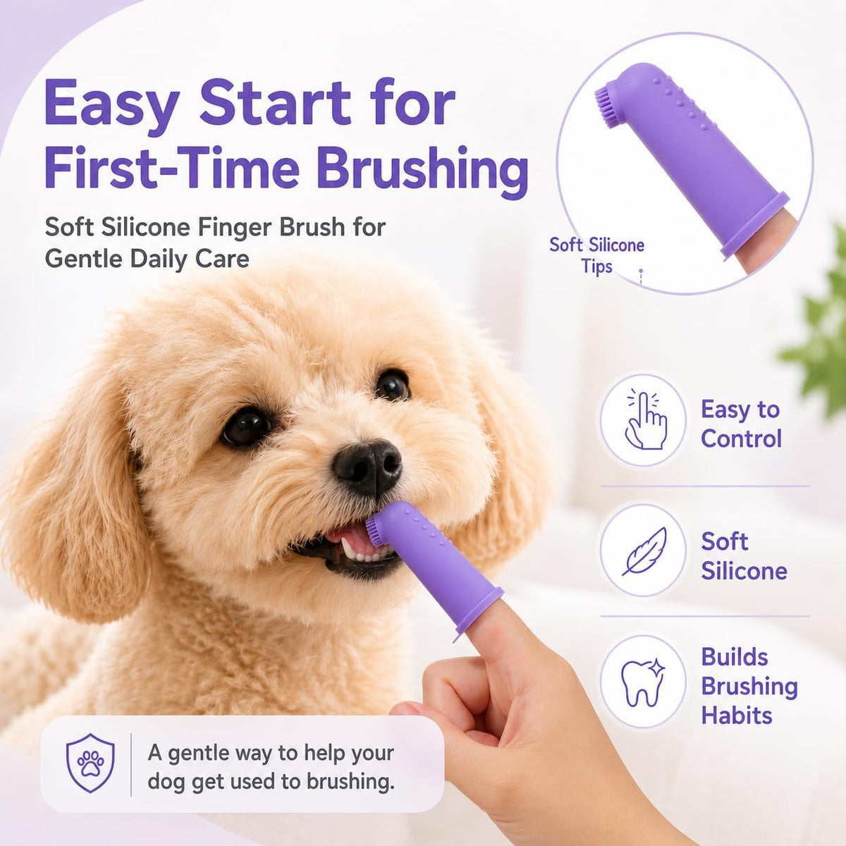 VVHOMIFE small pet oral hygiene set including teeth comparison tracking card for monitoring whitening progress