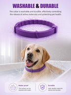 Four pack dog calming collars laid out showing sixty days duration per collar