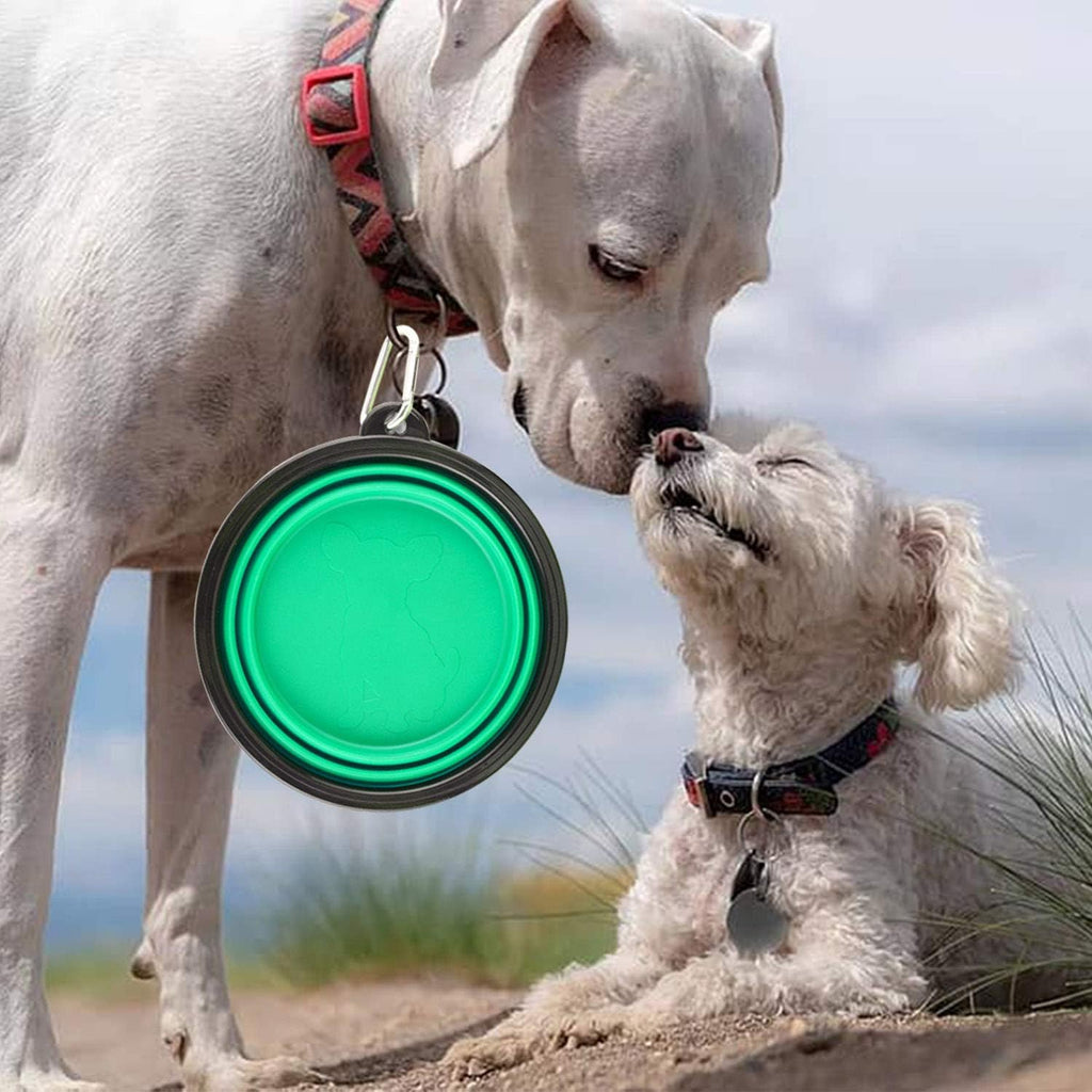 Folded flat silicone travel pet food bowls with silver carabiner clips attached
