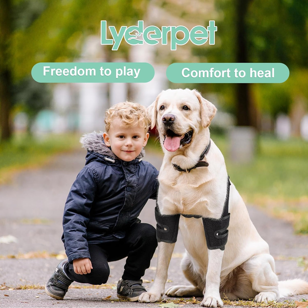 Lyderpet orthopaedic support for senior dogs