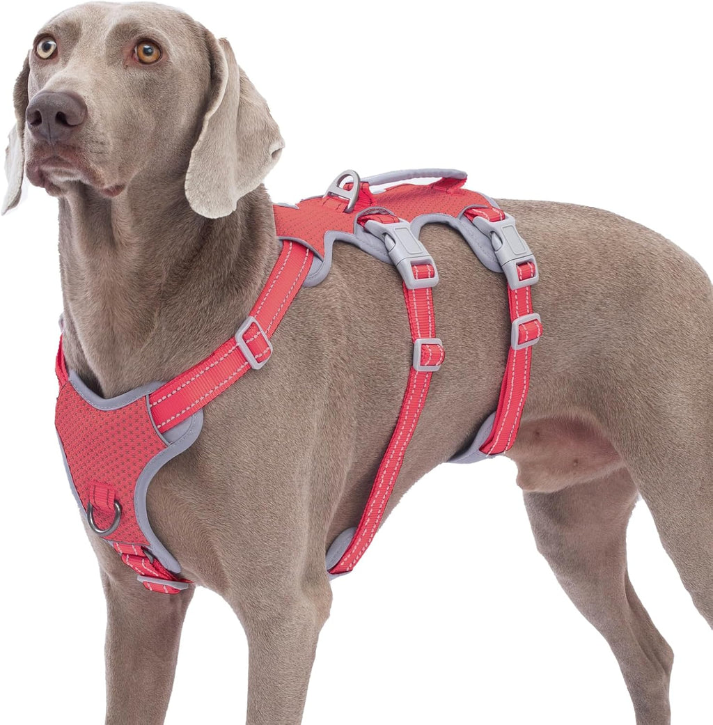 Huntboo Escape Proof Harness, No Slip Dog Harness Escape Proof, Fully Reflective Harness with Handle, Breathable, Durable, Adjustable Vest for Medium Dogs Walking and Training Gear (Black, M) - Image 13
