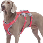 Huntboo Escape Proof Harness, No Slip Dog Harness Escape Proof, Fully Reflective Harness with Handle, Breathable, Durable, Adjustable Vest for Medium Dogs Walking and Training Gear (Black, M) - Image 13