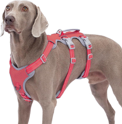 Huntboo Escape Proof Harness, No Slip Dog Harness Escape Proof, Fully Reflective Harness with Handle, Breathable, Durable, Adjustable Vest for Medium Dogs Walking and Training Gear (Black, M) - Image 13