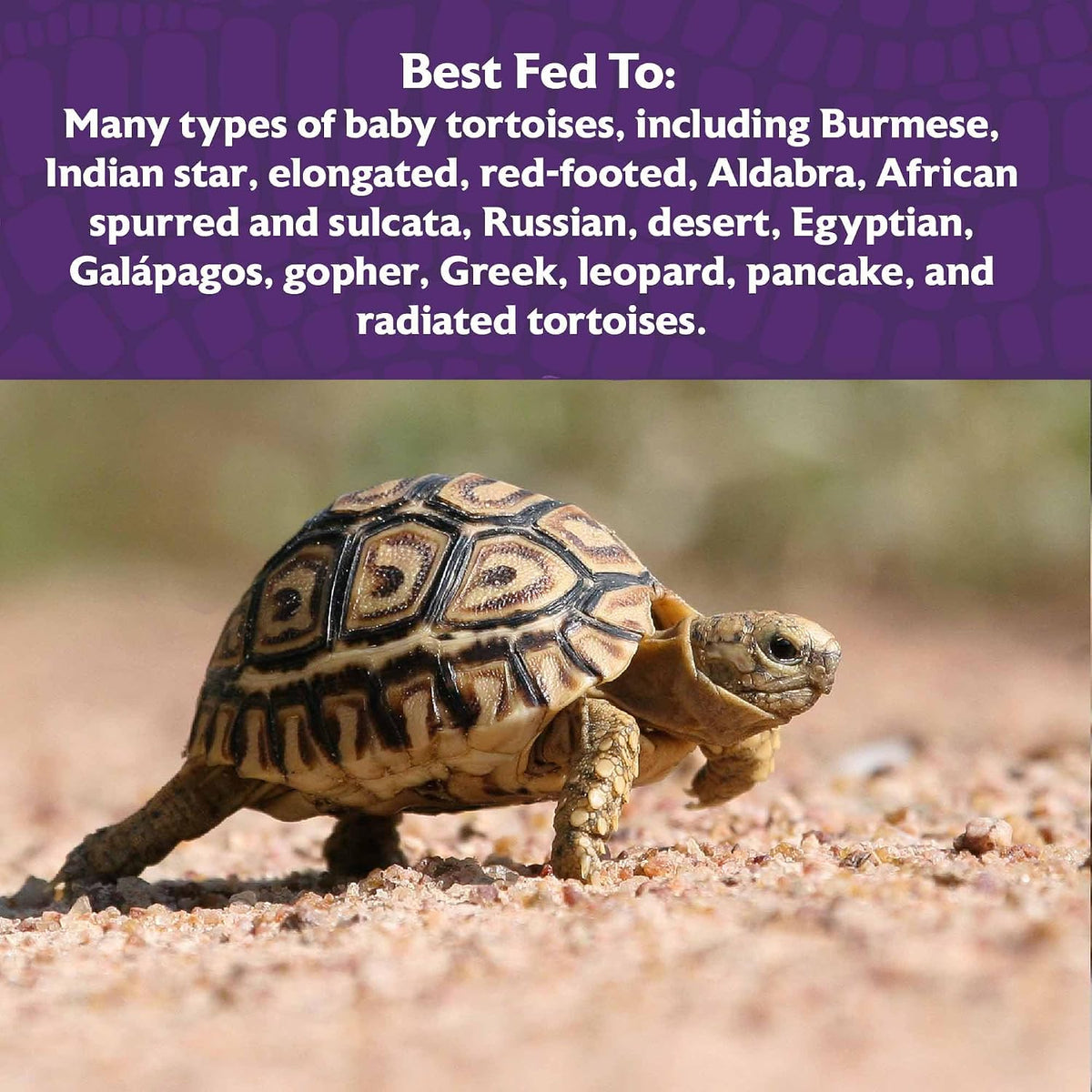 Mazuri high fiber tortoise diet nutritional panel
