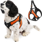Gooby turquoise harness packaging for small dogs