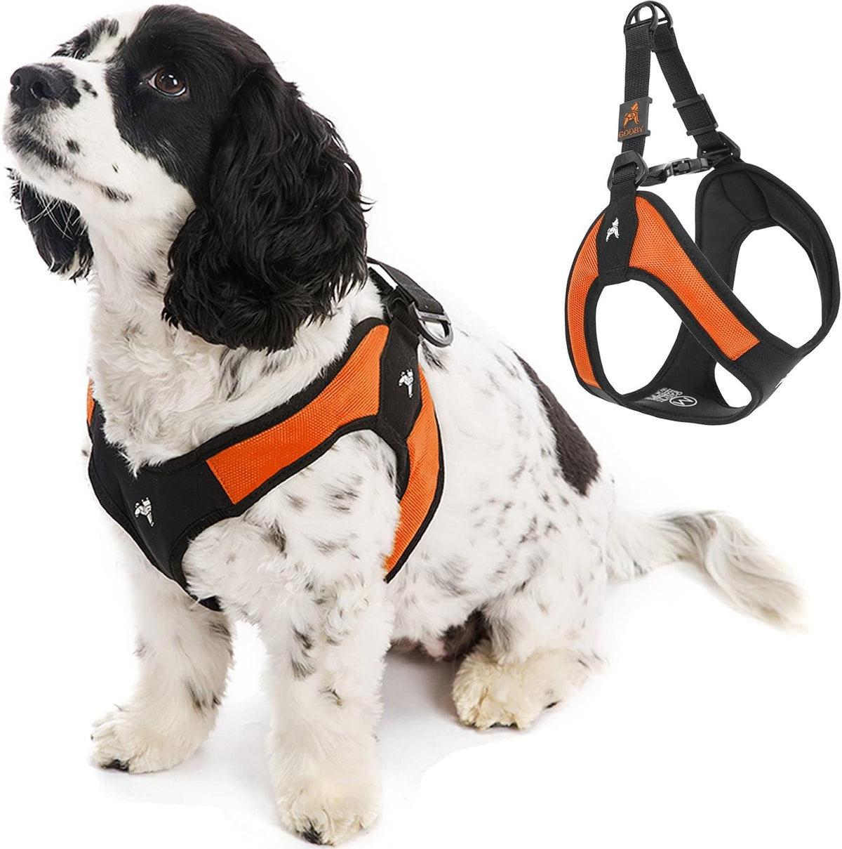 Gooby turquoise harness packaging for small dogs