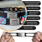 Laser engraved stainless steel pet identification plate with colorful silicone bands