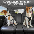 Dog harness connected to Pawaboo car restraint in vehicle