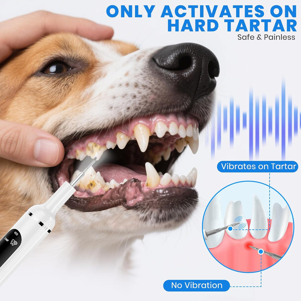 Patwing dog plaque remover kit with accessories