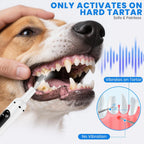 Patwing dog plaque remover kit with accessories