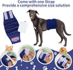 UNIPUP Reusable Male Dog Diaper showing the high absorbing inner jersey lining and leakproof layers