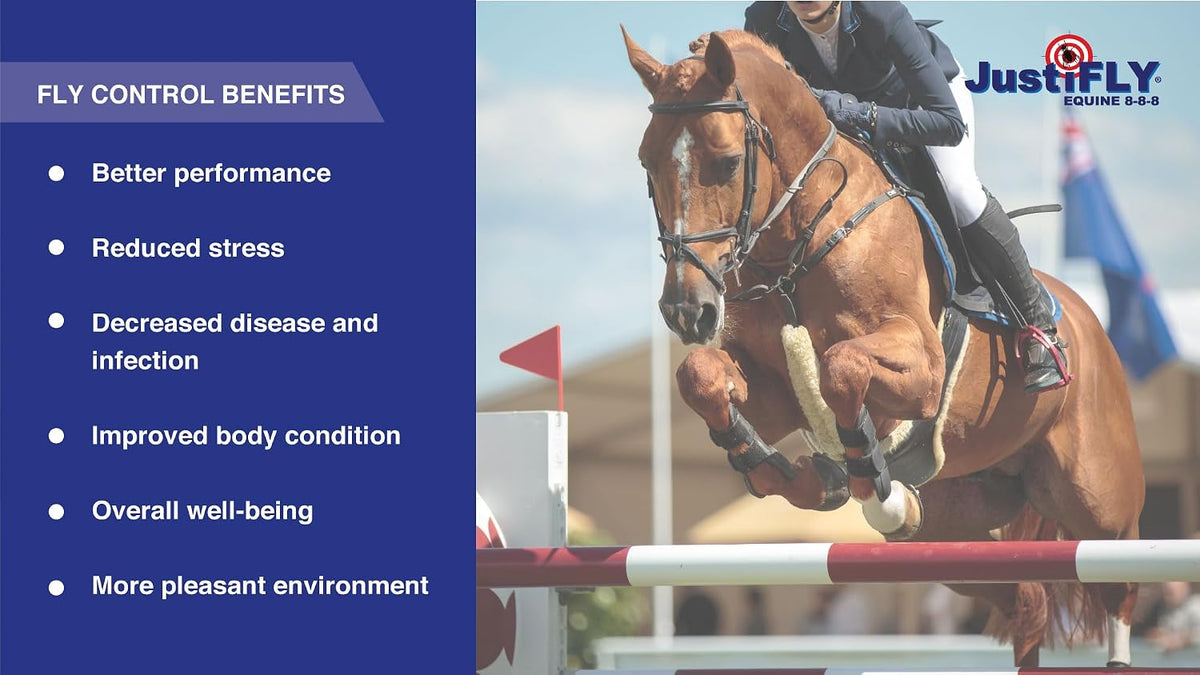 JustiFLY horse fly control supplement bucket showing ingredient details.