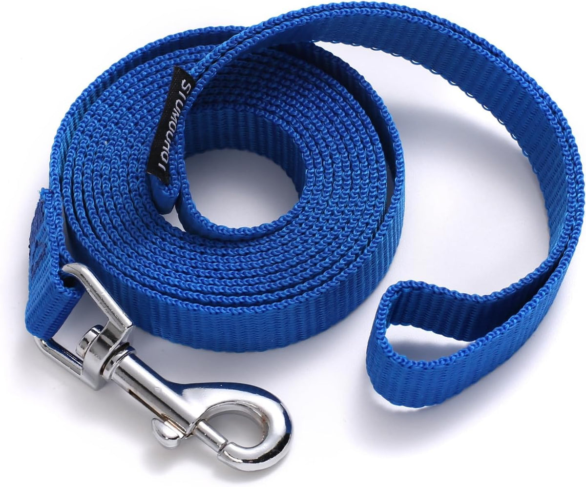 Small dog walking with Siumouhoi rainbow leash