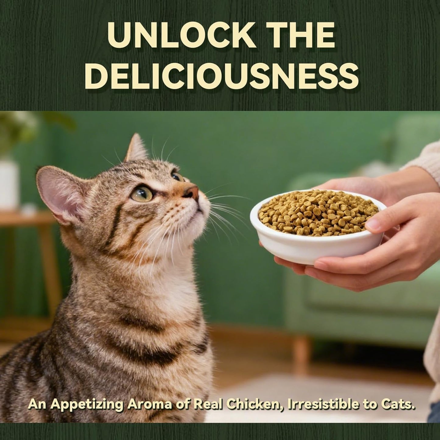 MordyLand healthy digestion fish oil and taurine cat food benefits