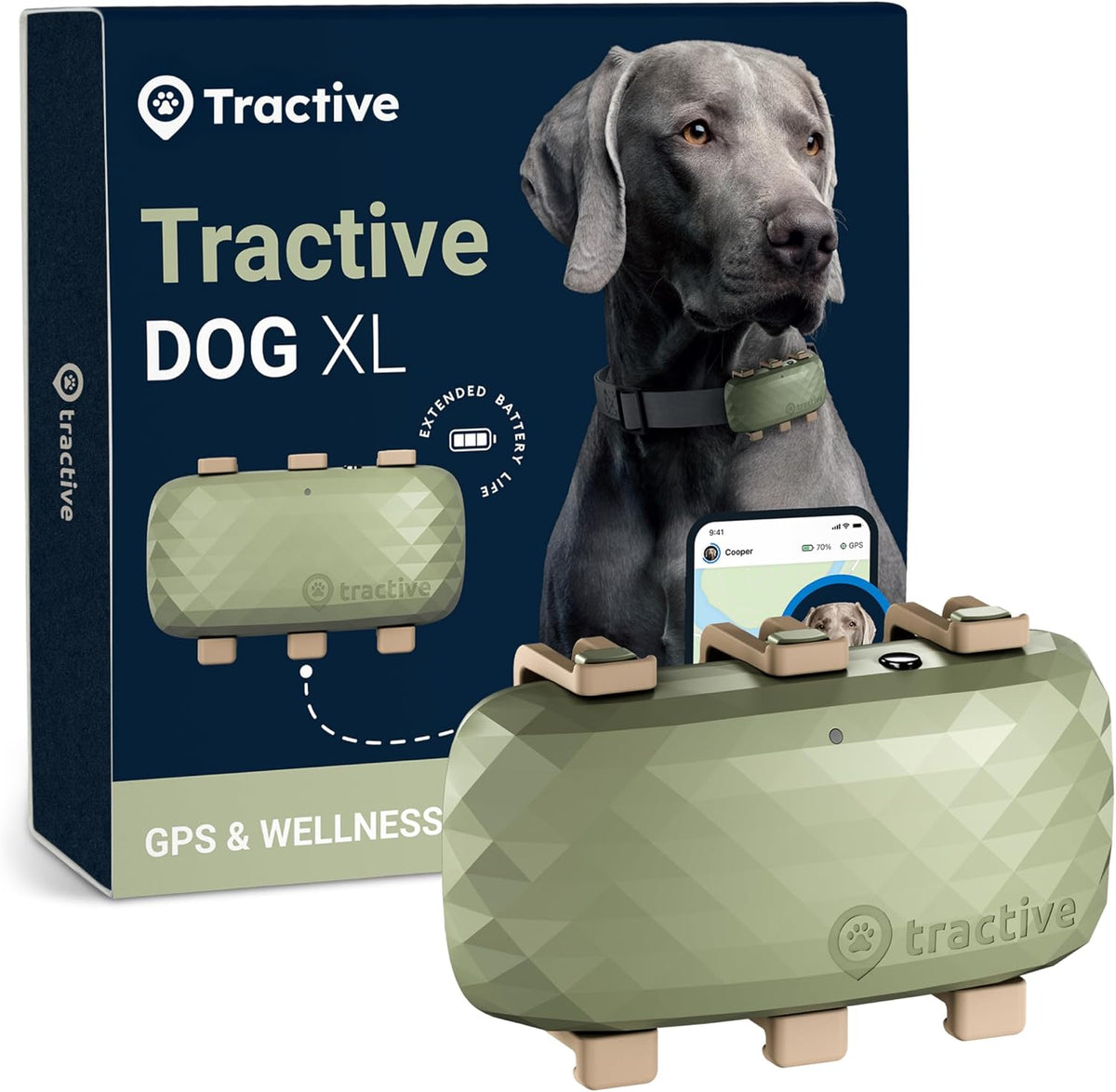 Tractive XL Smart Dog GPS Tracker in green front view
