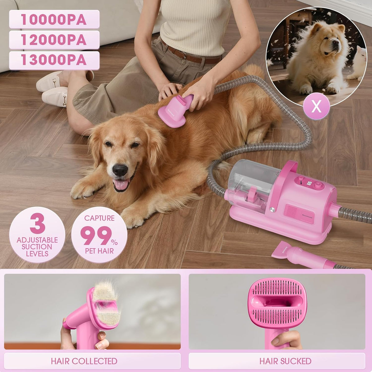 Large capacity dust cup on the geoorood pet blower vacuum for hair collection.