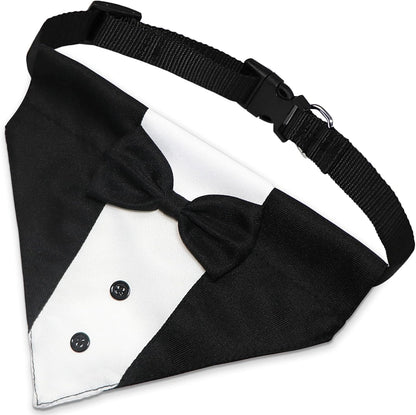 GOYOSWA formal pet costume with attached bow tie and decorative buttons close up view