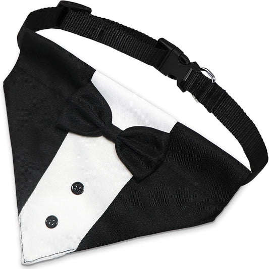 GOYOSWA formal pet costume with attached bow tie and decorative buttons close up view