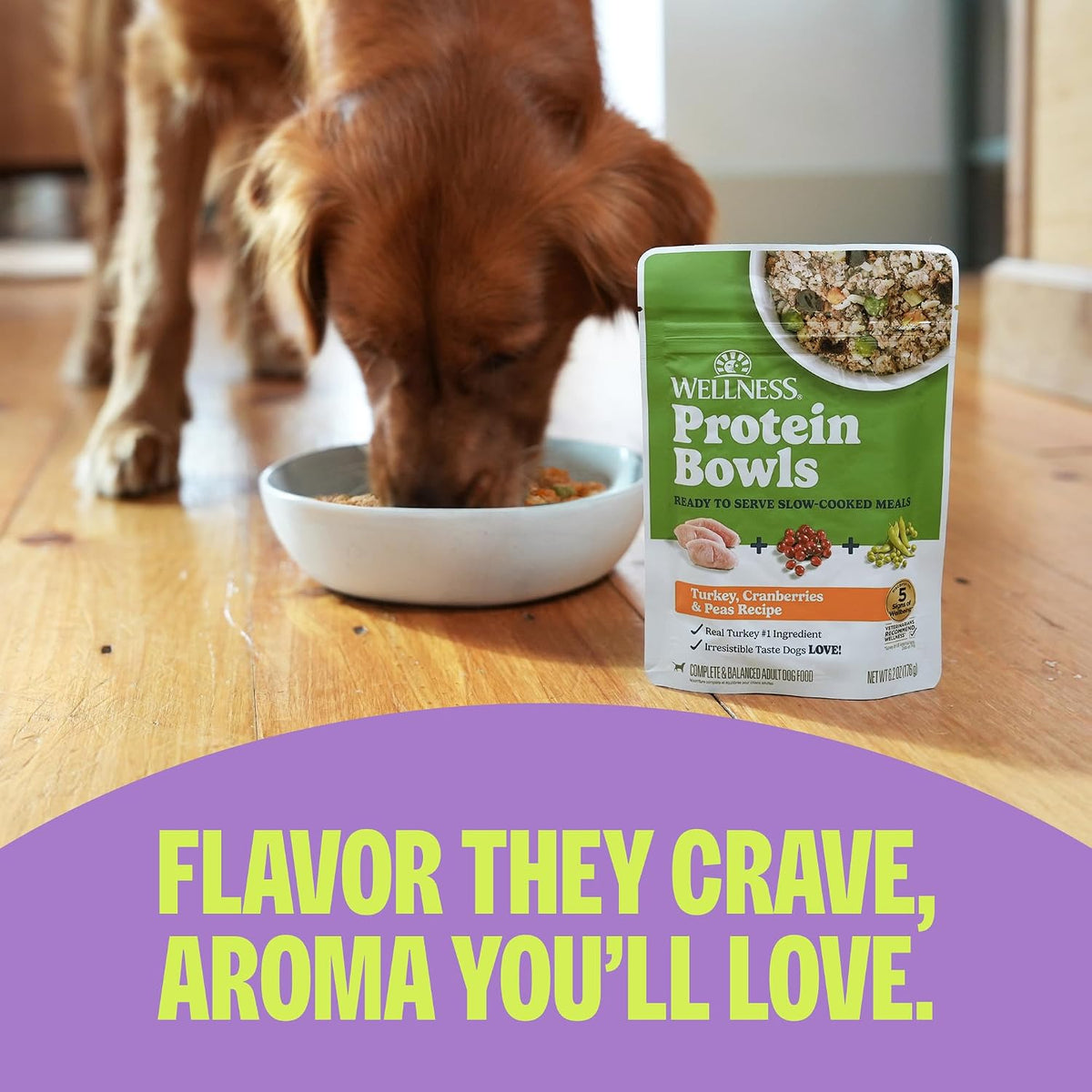 Wellness Protein Bowls variety pack premium adult wet dog food packaging details.