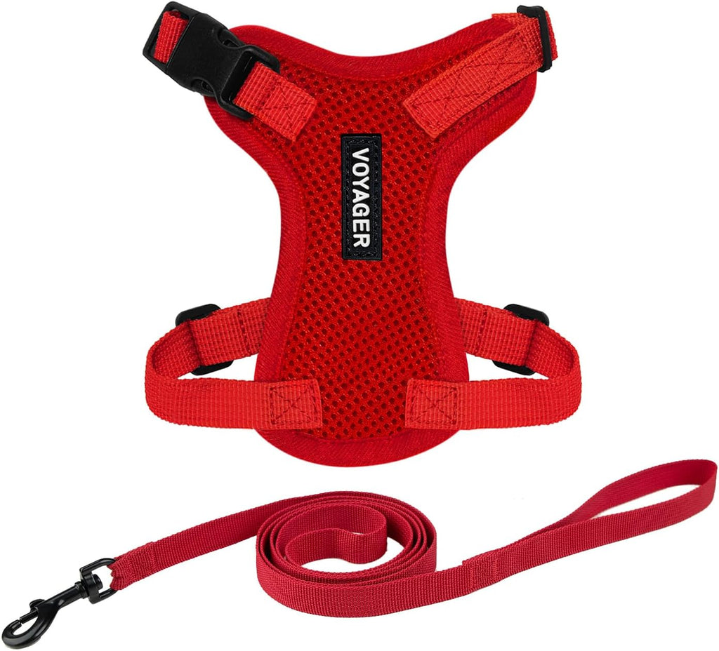 Voyager Escape-Proof Step-in Lock Cat Harness & 5ft Neoprene-Handle Leash Set All-Weather Mesh with Reflective Stitching for Small to Large Cats by Best Pet Supplies, Lime (327), XS - Image 13