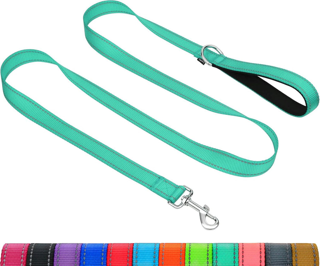 Taglory Dog Leash for Small Dogs, Double-Sided Reflective for Night Walking, Neoprene Padded Handle, 3/4 inch by 6 ft, Lightweight for Small Medium Breeds up to 30 lbs, Black - Image 9