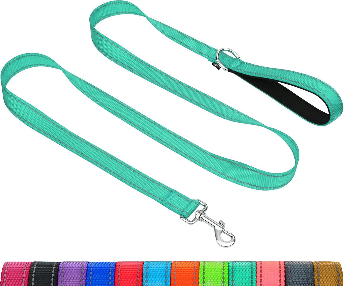 Taglory Dog Leash for Small Dogs, Double-Sided Reflective for Night Walking, Neoprene Padded Handle, 3/4 inch by 6 ft, Lightweight for Small Medium Breeds up to 30 lbs, Black - Image 9