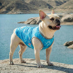 Side profile of dog in cooling vest for sun protection