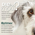 Sterile pet eye cleaner with boric acid for treating discharge and redness.