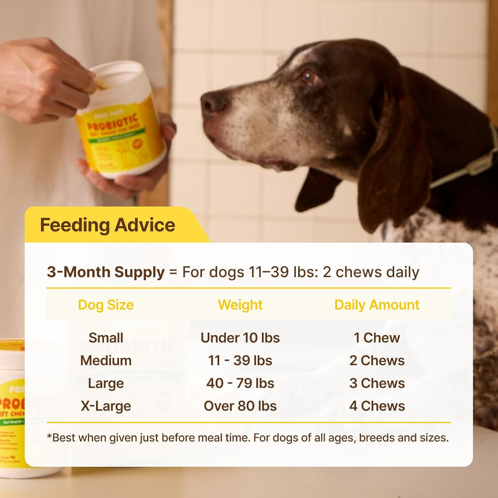 Penpen Probiotics for Dogs 50 count tub side view
