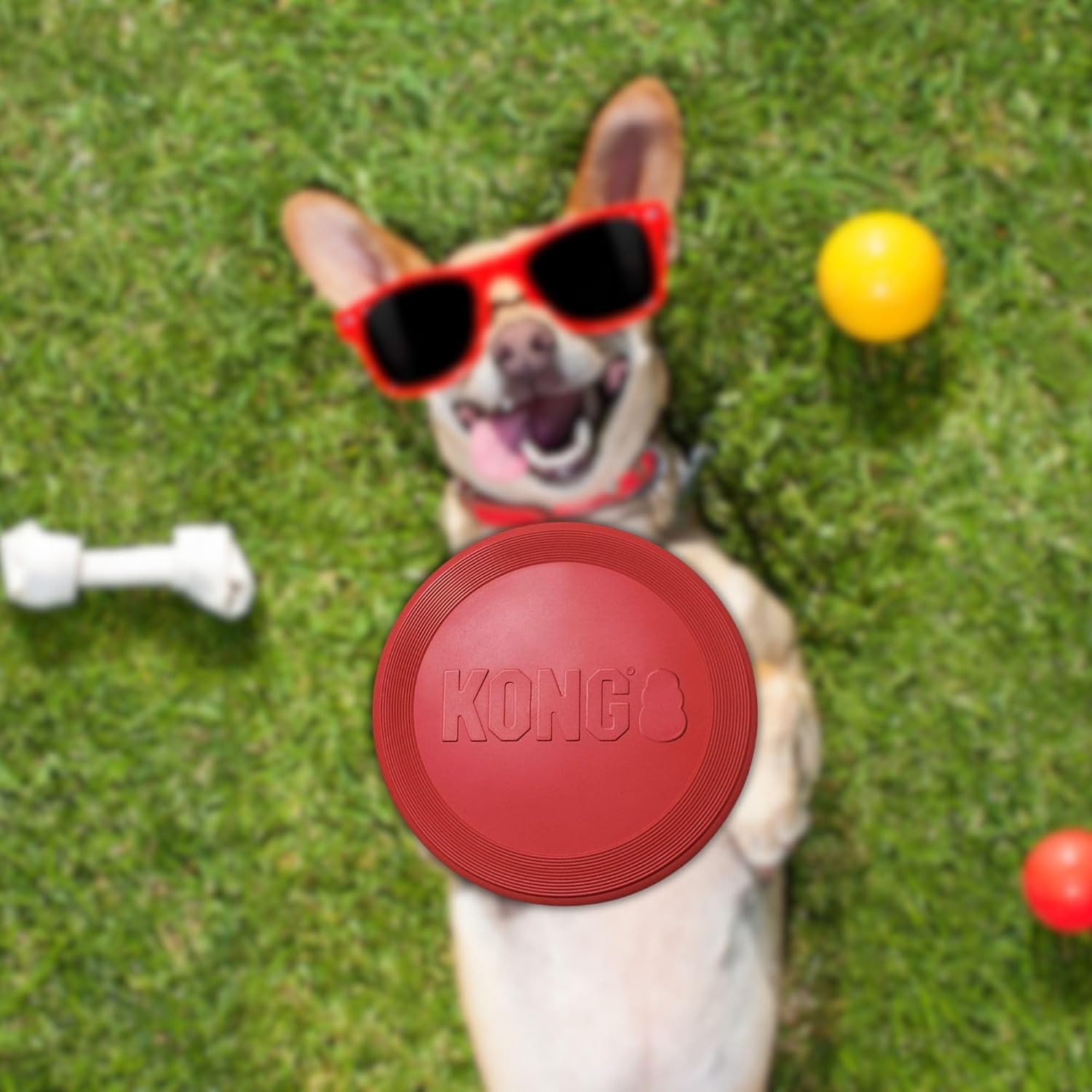 Authentic Kong dog flyer disc for large breeds