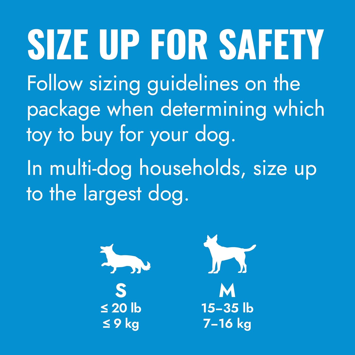 KONG Puppy Goodie Bone authentic USA imported pet care product close up