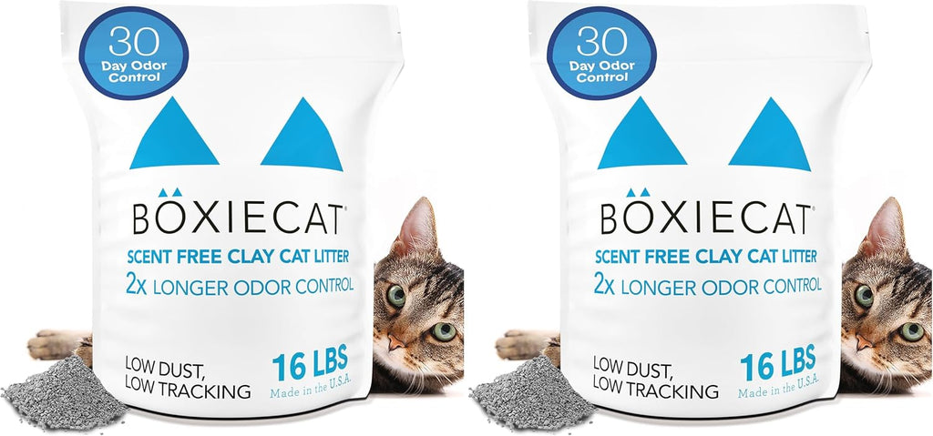 Authentic USA imported Boxiecat packaging display
