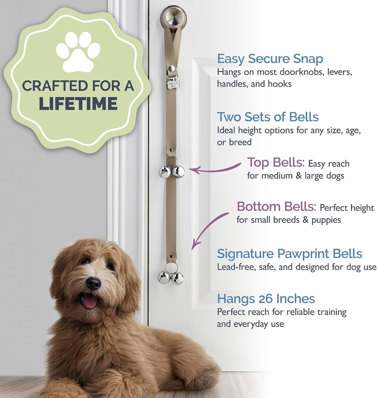 Close up of lead-free steel bells on PoochieBells strap