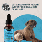 USA imported Animal Essentials pet herbal extract dropper bottle