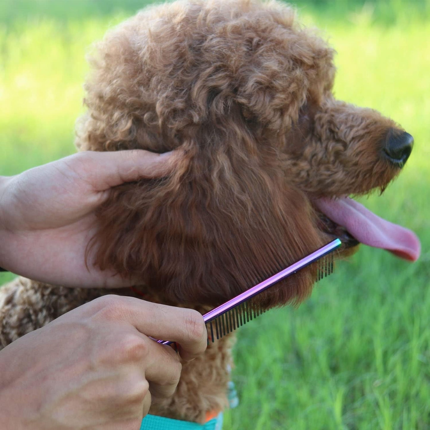 ROPO stainless steel cat and dog grooming brush close up of skin safe rounded tips
