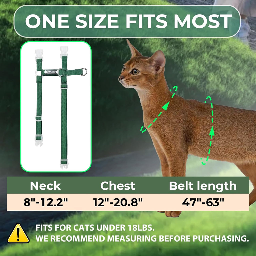 Breathable mesh pet travel harness and leash combo for walking