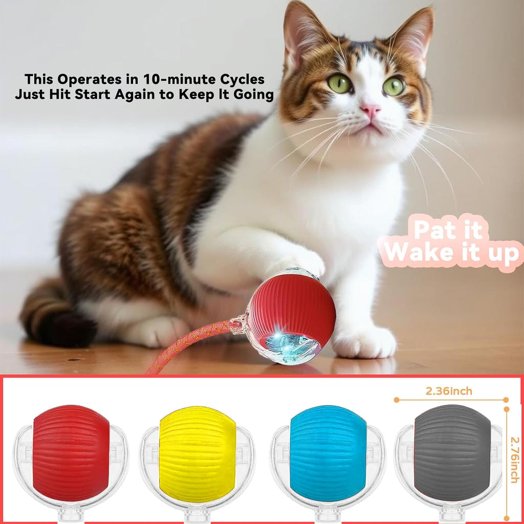 Packaging display of Aupjicx Speedy 2.0 cat toy pack