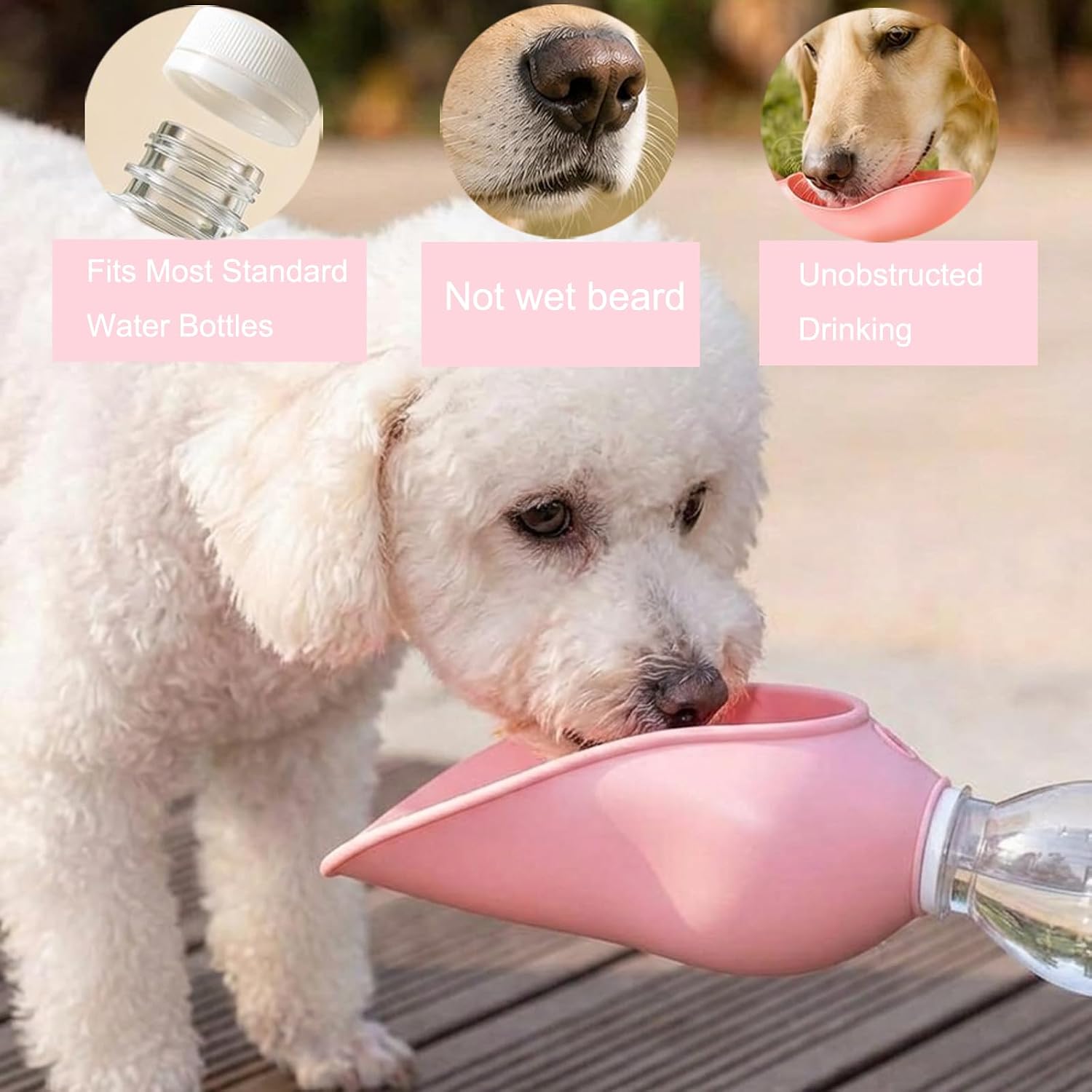 Leak proof outdoor pet water feeder bowl for dogs and cats during travel