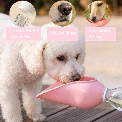 Leak proof outdoor pet water feeder bowl for dogs and cats during travel