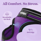 Packaging contents showing purple cat harness and matching leash