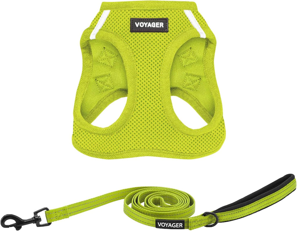 Best Pet Supplies Voyager Step-in Air All Weather Mesh Harness and Reflective Dog 5ft Leash Combo with Neoprene Handle, for Small, Medium and Large Breed Puppies - Fuchsia, Small - Image 9