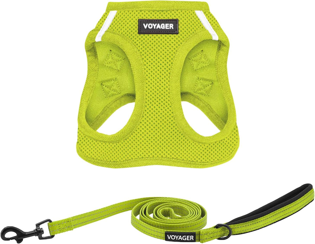 Best Pet Supplies Voyager Step-in Air All Weather Mesh Harness and Reflective Dog 5ft Leash Combo with Neoprene Handle, for Small, Medium and Large Breed Puppies - Fuchsia, Small - Image 9
