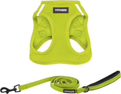 Best Pet Supplies Voyager Step-in Air All Weather Mesh Harness and Reflective Dog 5ft Leash Combo with Neoprene Handle, for Small, Medium and Large Breed Puppies - Fuchsia, Small - Image 9