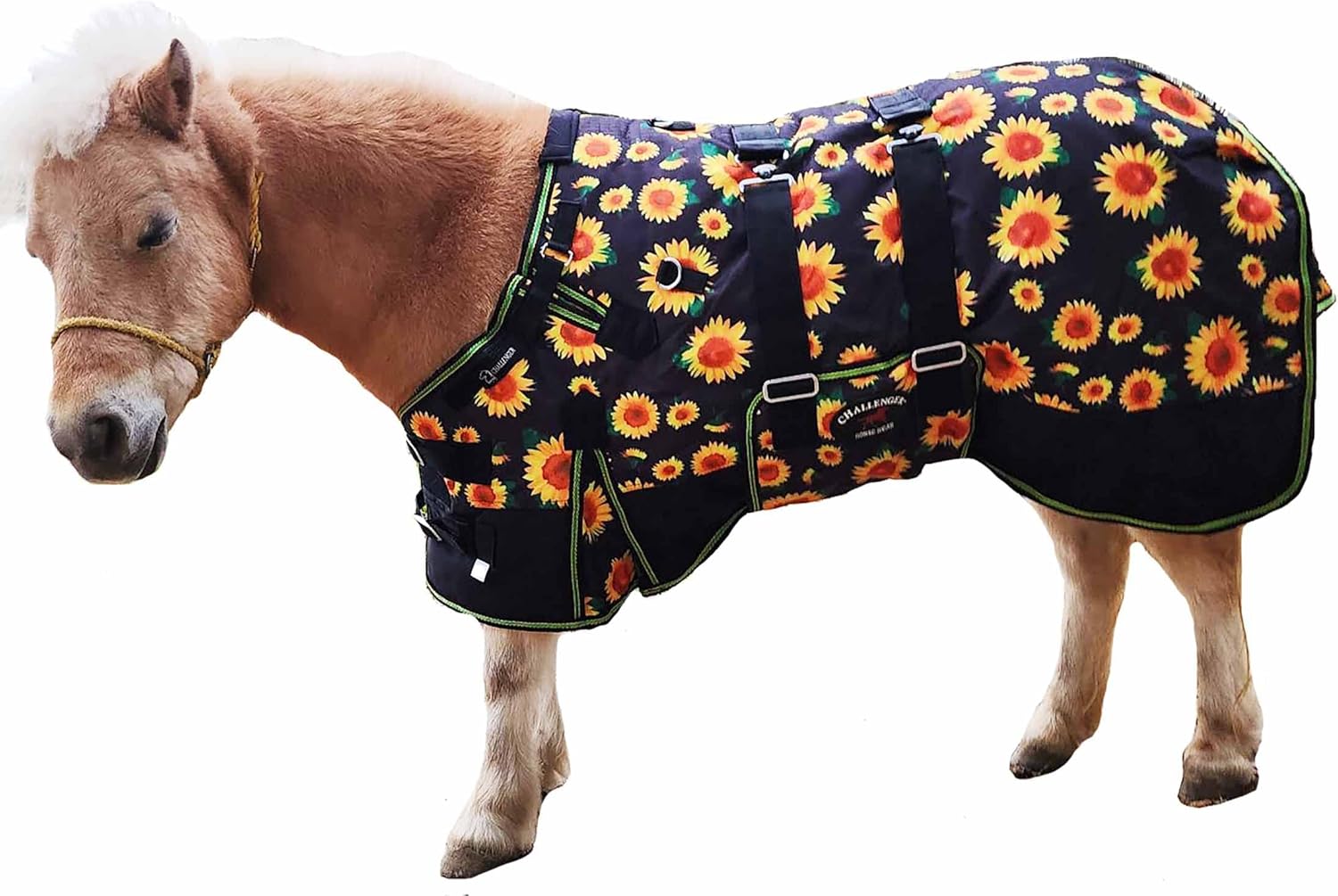 Challenger 1200D Miniature Weanling Donkey Pony Horse Foal Winter Blanket 51996B - Image 12