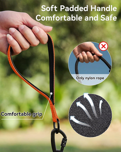 Heavy duty alloy steel swivel hooks on the Joytale long leash