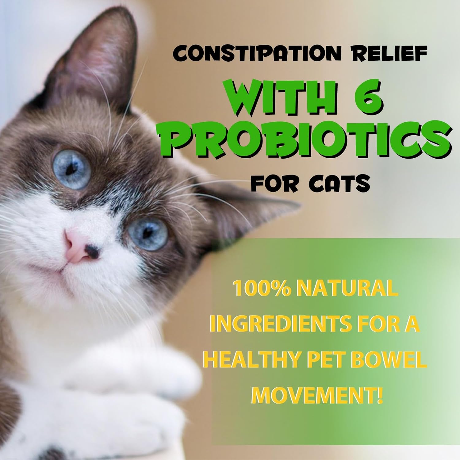 VOSIFSDIY Cat Constipation Relief, Liquid Drops Supports Laxative Relief, Cat Herbal Supplements, Stool Softener Laxative Constipation Relief, Chicken Flavour- 60ml / 2 fl.oz - Image 9